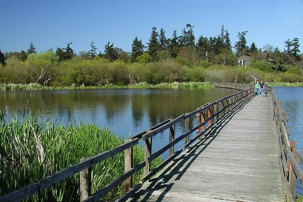 Upscale Character Home With Luxurious Amenities Victoria Canada